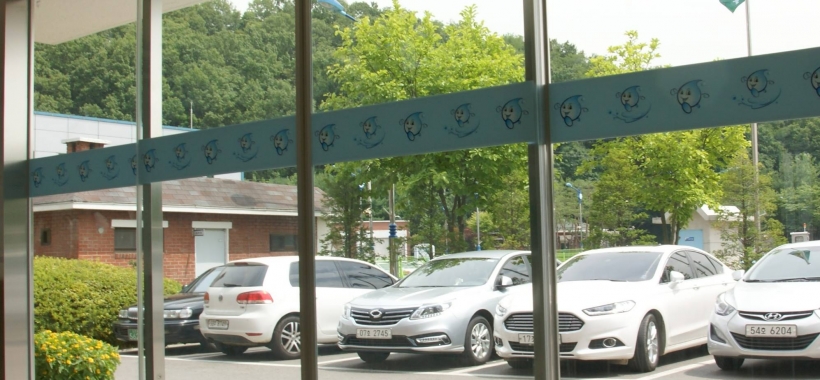 Cửa Tự Động Hàn Quốc: Giải Pháp Cân Bằng Hoàn Hảo Cho Công Trình