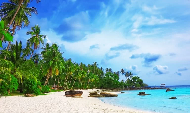 Cửa cổng tự động Phú Quốc - Kiên Giang