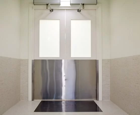 Hình cửa mở tự động SW-2