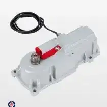 Motor Cổng FAAC 770N 24V