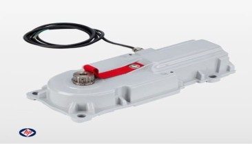 Motor Cổng FAAC 770N 24V